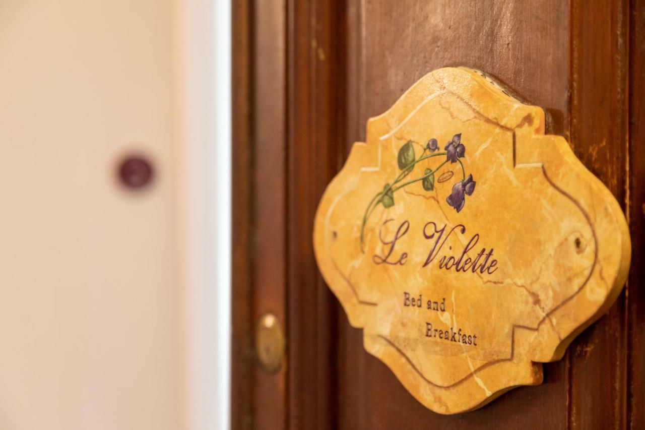 Le Violette Hotell Lucca Eksteriør bilde