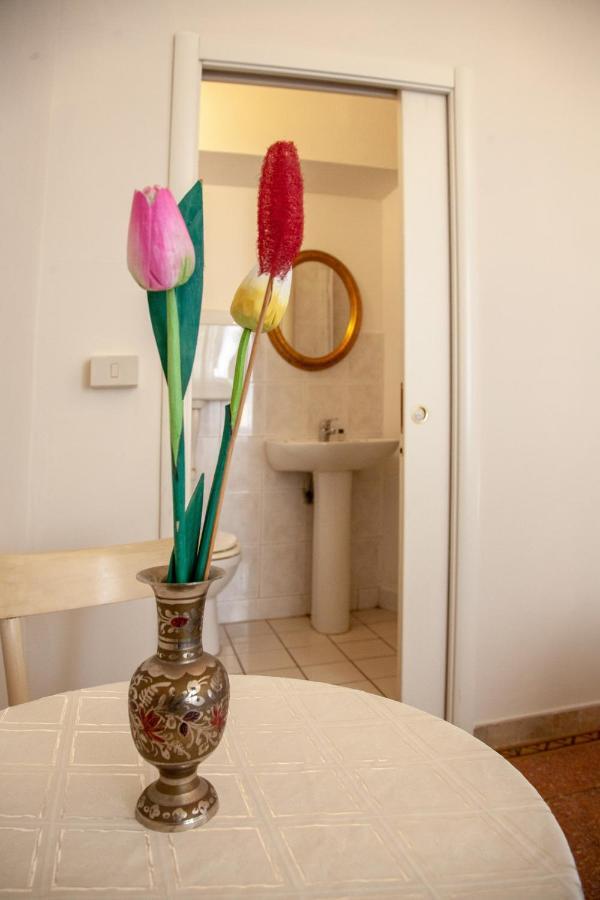 Le Violette Hotell Lucca Eksteriør bilde